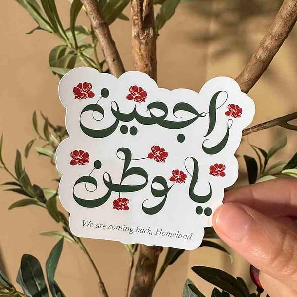 a person holding a "rajieen with poppy flowers" sticker with the olive tree as a background